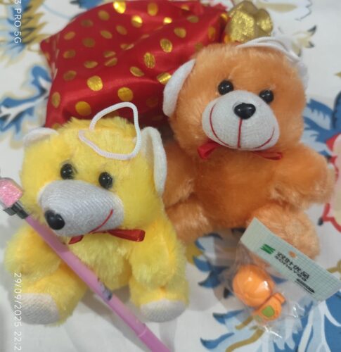 Navratri Return Gift Combo – Teddy, Toy Car & Festive Goodies in Designer Bag (Pack Of 3) photo review